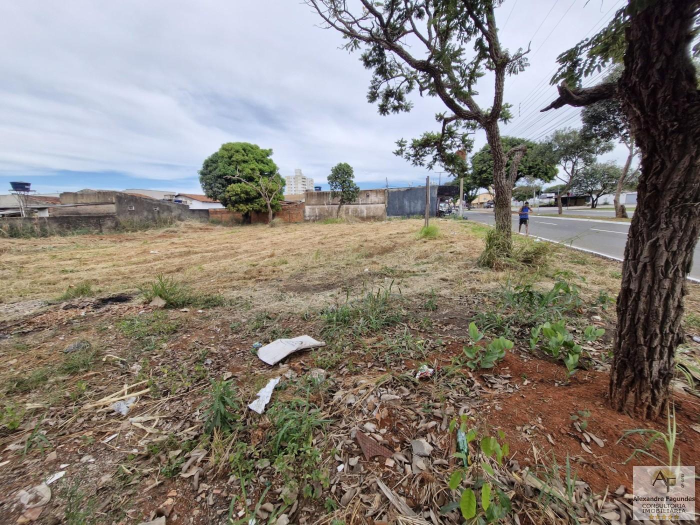 Terreno, 1320 m² - Foto 6