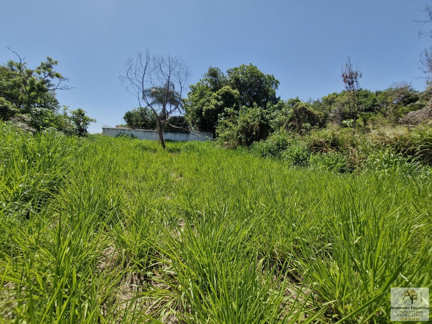 Terreno, 372 m² - Foto 6