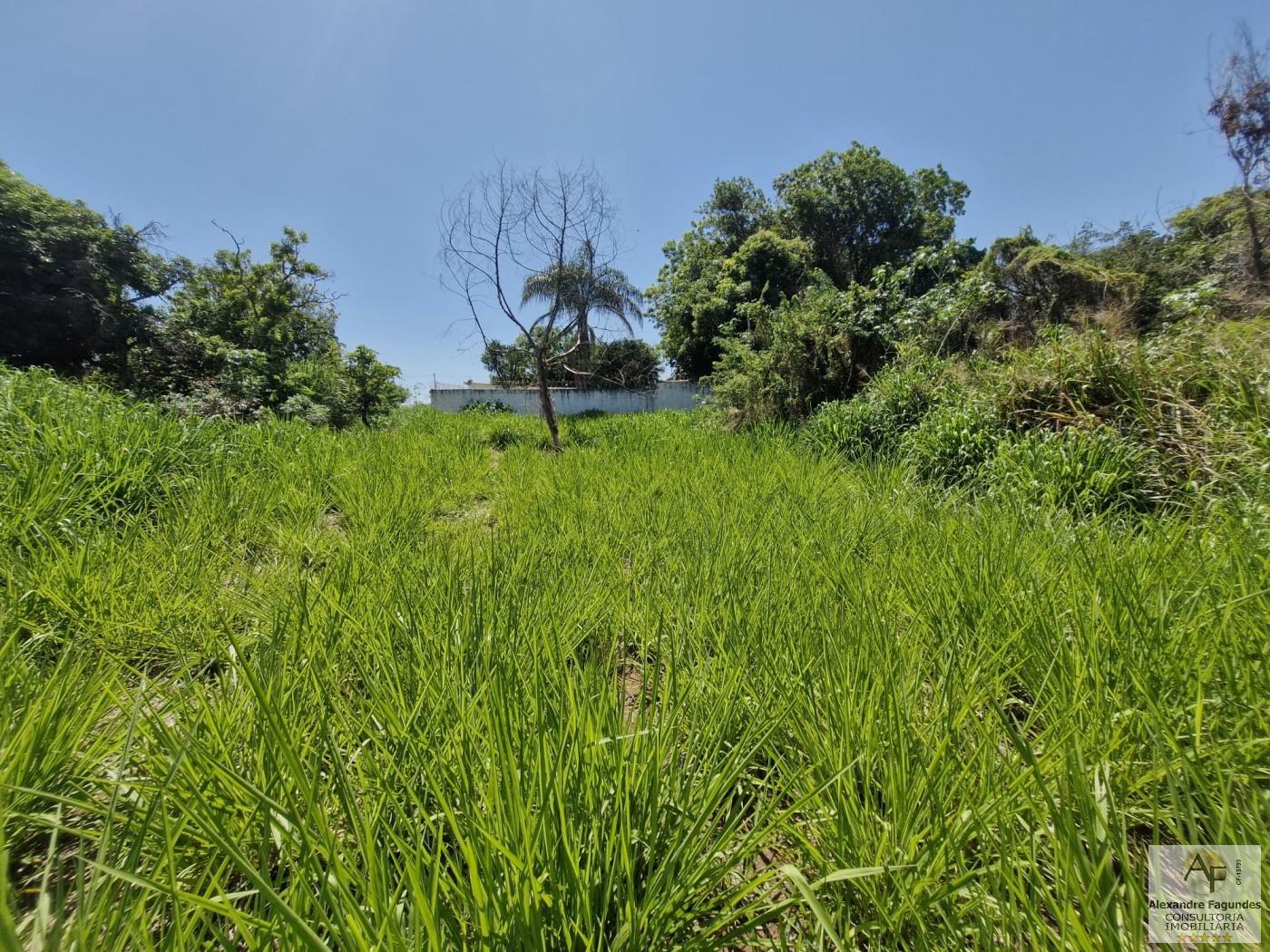 Terreno, 372 m² - Foto 8