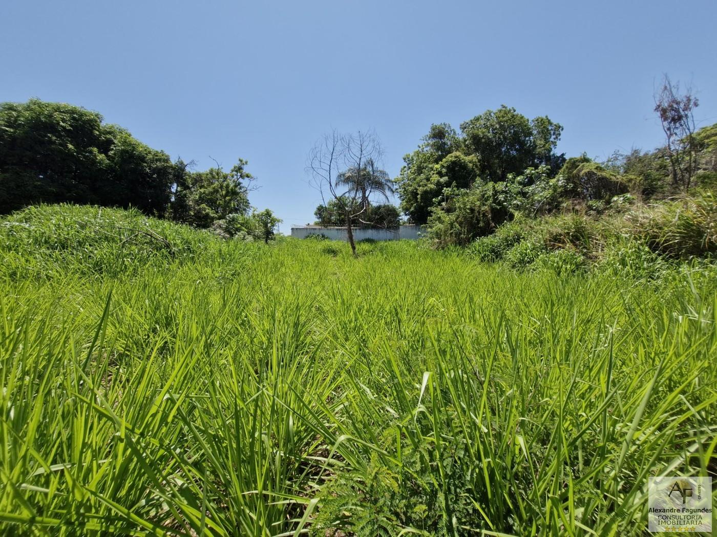 Terreno, 372 m² - Foto 11